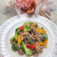 特製ソース炒めの牛肉・サラダ菜和え